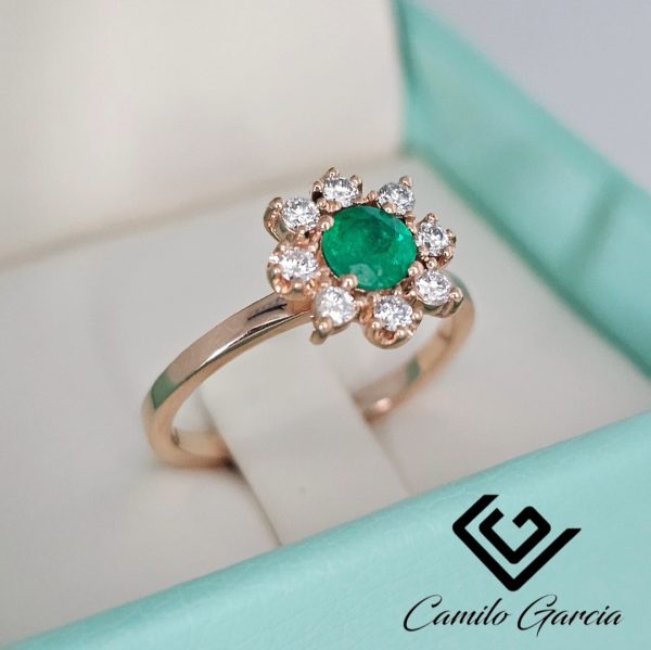 AH-01 - Imagen 2